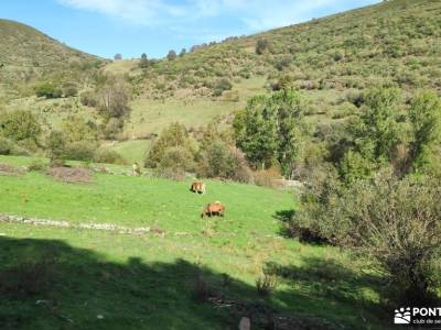 Omaña - Puente del Pilar 2026 - cuerda larga guadarrama fotos lagos de covadonga nuestros findes las